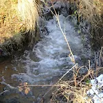 Le Fournil Rural Trois-Ponts