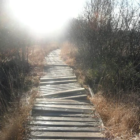 Le Fournil Rural בית נופש *