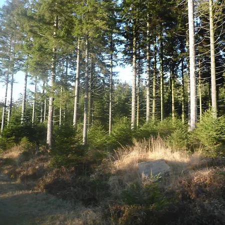 Tatil Evi Le Fournil Rural *